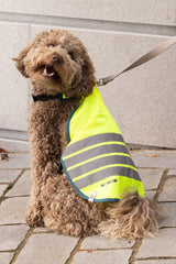Big Fun Dog Jacket Yellow