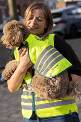 Big Fun Dog Jacket Yellow