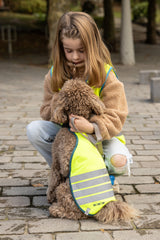 Big Fun Dog Jacket Yellow