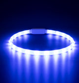 Glowband Dog Collar Silicon RGB LED