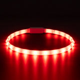 Glowband Dog Collar Silicon RGB LED