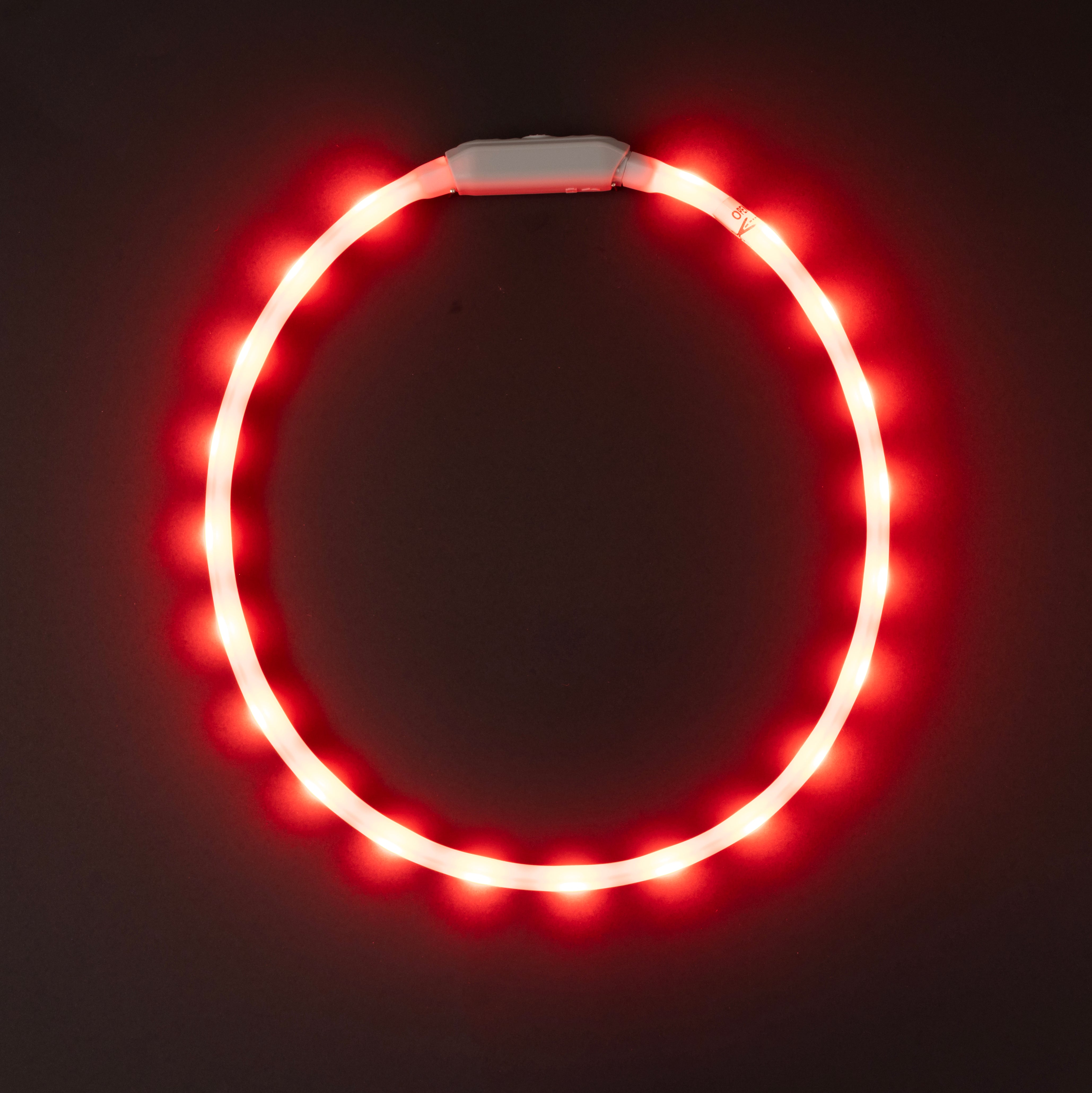 Glowband Dog Collar Silicon RGB LED