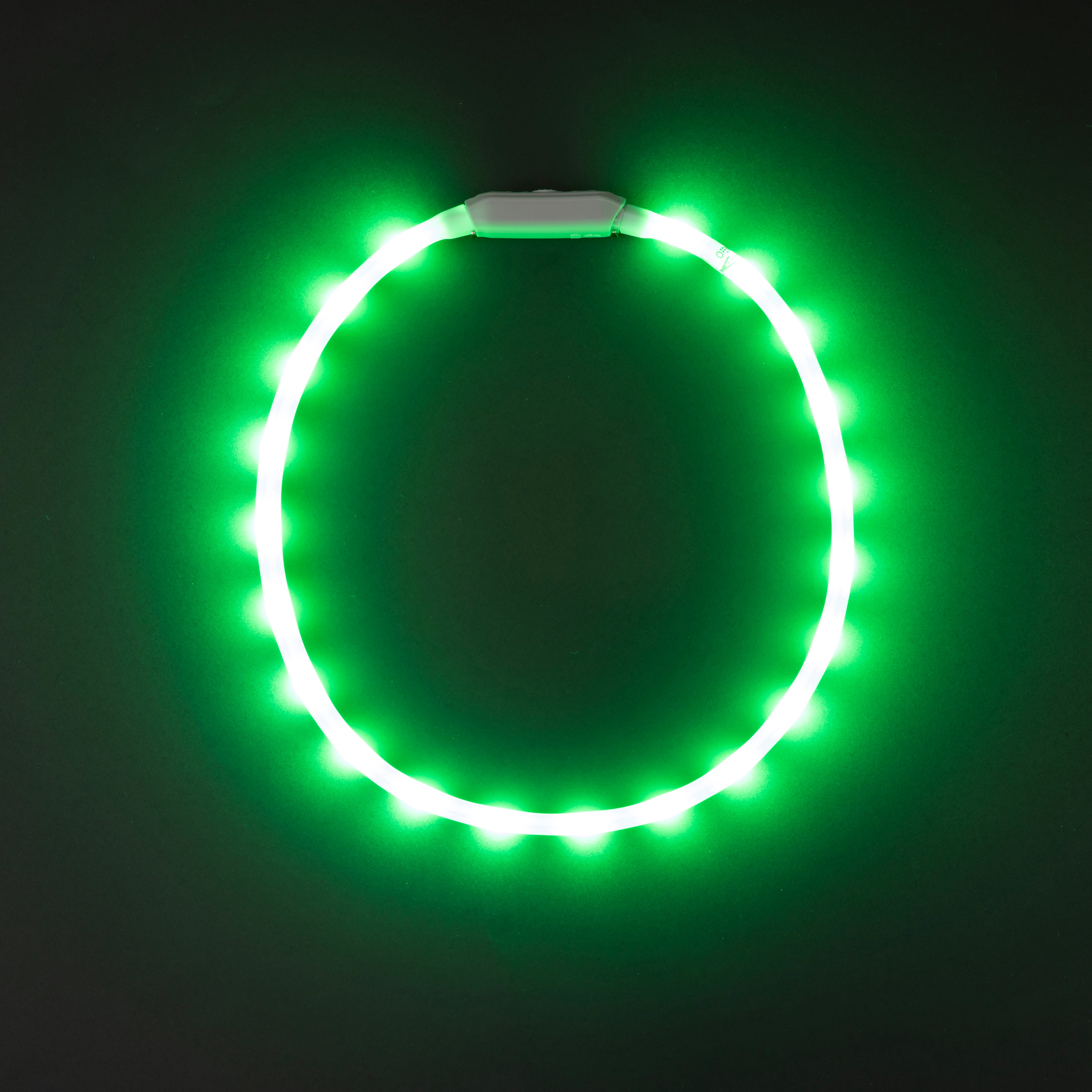 Glowband Dog Collar Silicon RGB LED