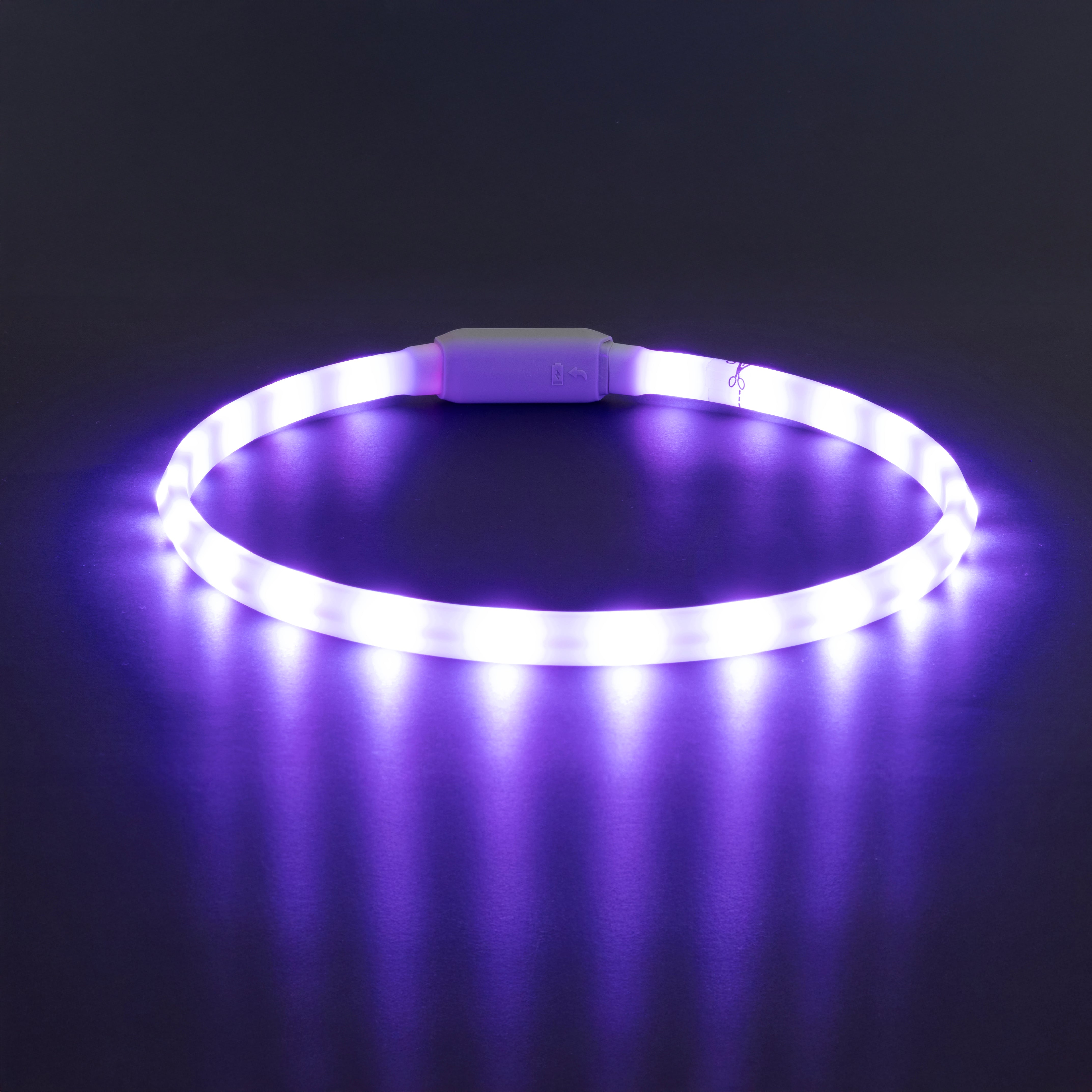 Glowband Dog Collar Silicon RGB LED