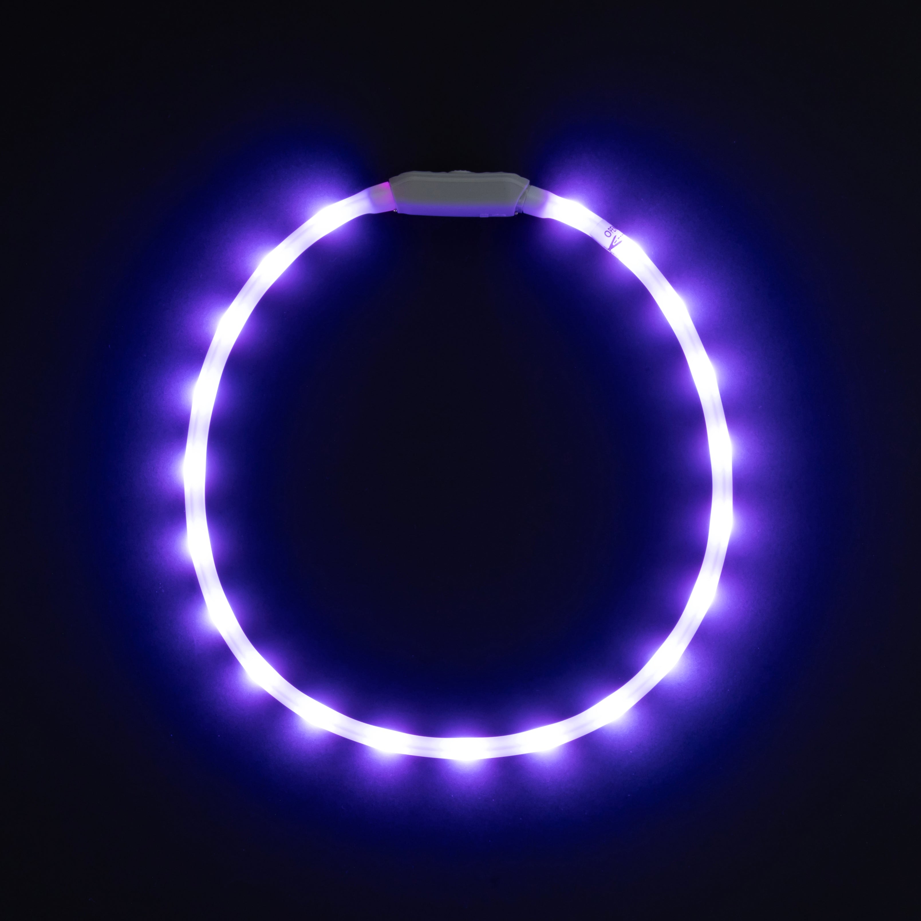 Glowband Dog Collar Silicon RGB LED