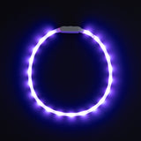 Glowband Dog Collar Silicon RGB LED