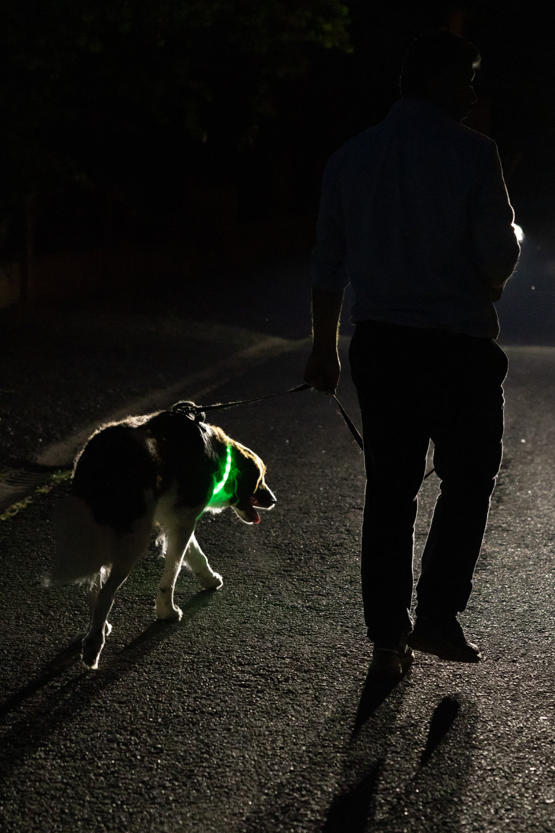 Glowband Dog Collar Silicon RGB LED