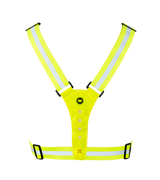 Nokta Running Belt Back