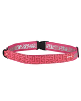 Stardust Belt LED